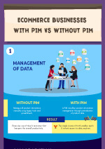 ebusiness with pim and without pim